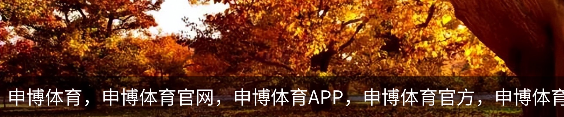 申博体育，申博体育官网，申博体育APP，申博体育官方，申博体育平台品牌故事